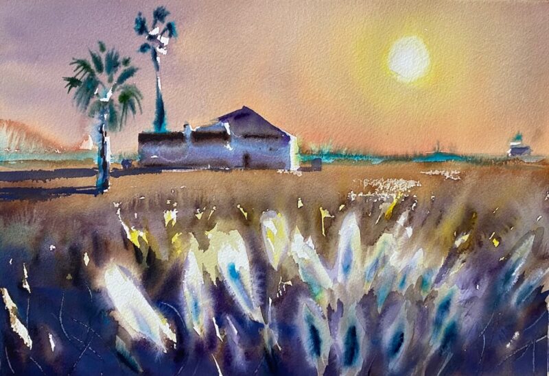 Hierbas de luz en los arrozales