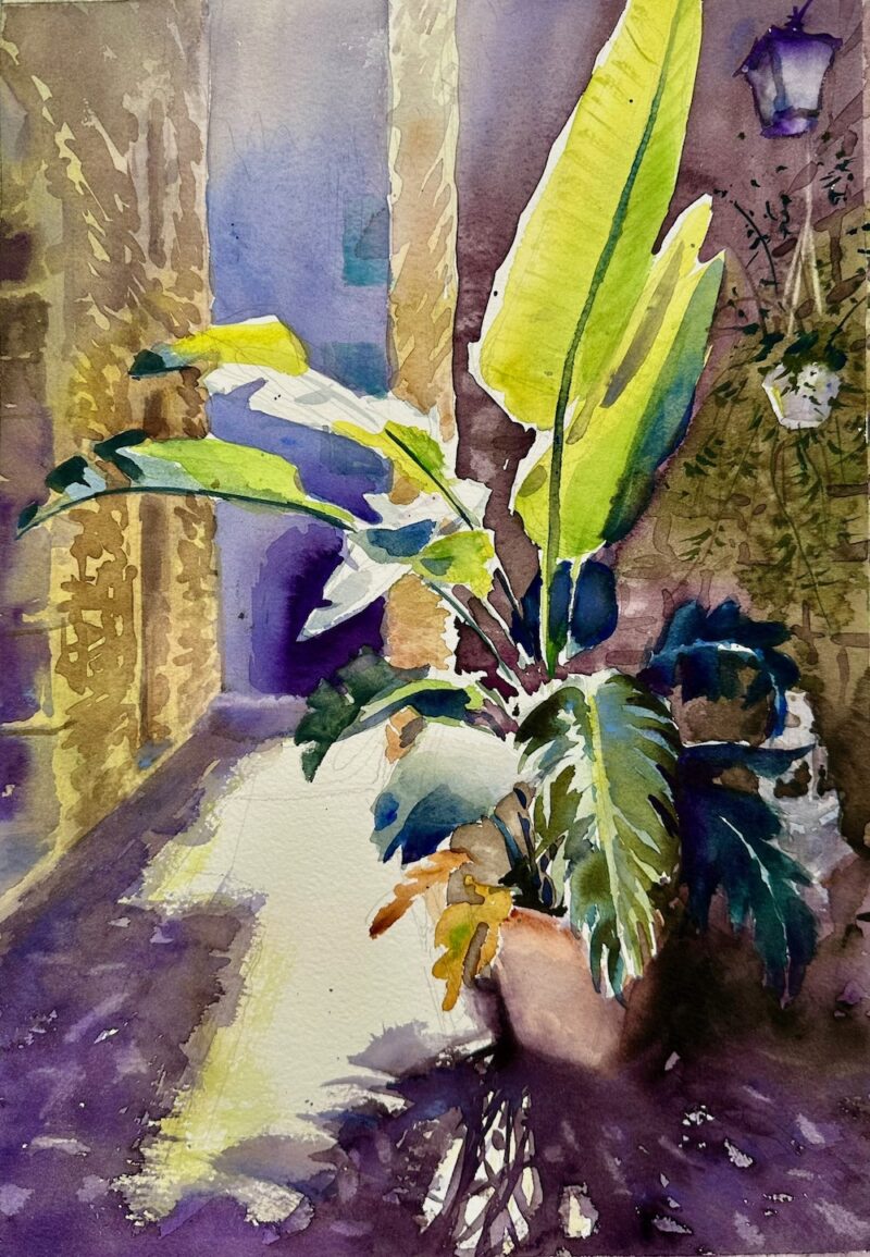 Cuadro Paisaje urbano con una Strelitzia a contraluz