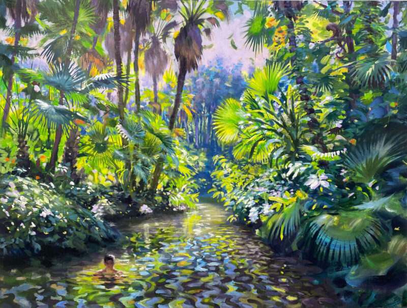 Baño de luz en la jungla